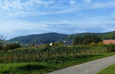 Apartment An der Weinstraße - Foto 18