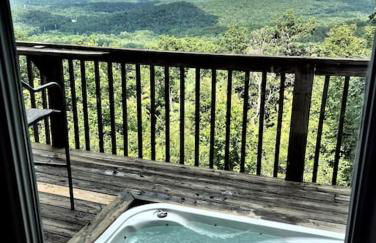 UNQUESTIONABLY the BEST VIEWS in North Georgia - Photo 37