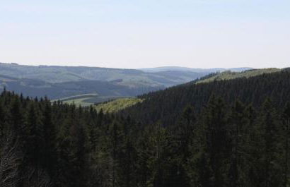 Ferienwohnung Zum Heideblick - Photo 31