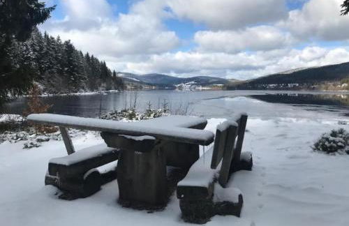 Holiday Home Schluchseehuus by Interhome - Foto 16