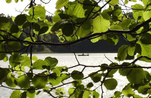 Forsthaus Großmenow - Foto 28