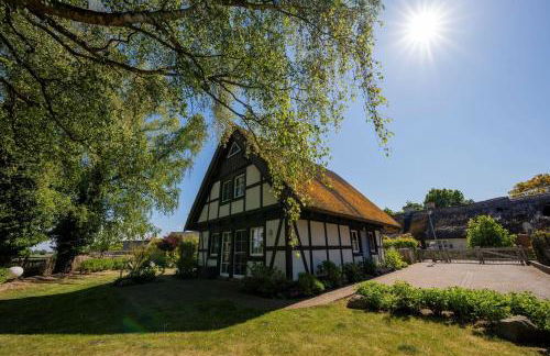 Ferienhaus Flieder - Foto 19