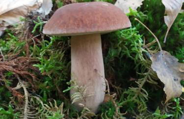 Il Rifugio di Vale - Foto 27