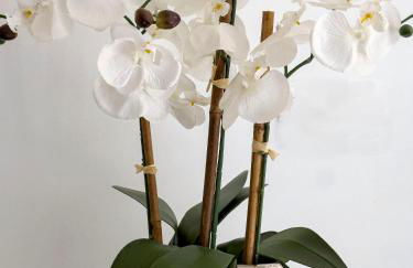 Villa Los Pinares de Monaco en Roche, Conil, Cádiz - Foto 31