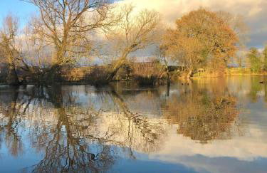 Morndyke Cottage - Foto 7