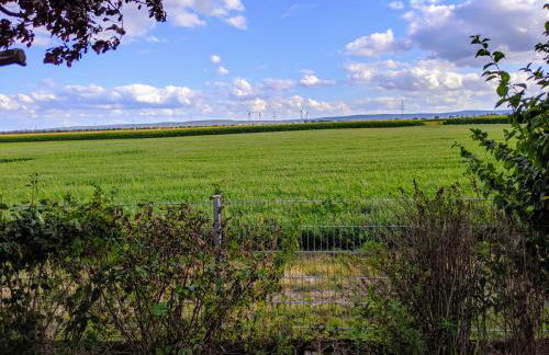 Große Schönheit mit Panoramablick - Foto 19