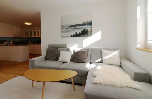 Haus Wiesenquelle - Fewo 10 "Uff'm Berg", Feldberg - Foto 9