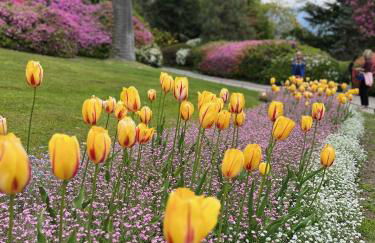 Casa Dilma - Foto 42