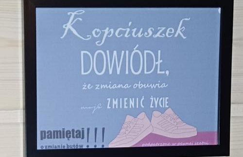 Cicha przystań domek na Kaszubach - Foto 41