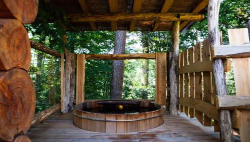 La Cabane de l'Étang du Domaine de la Forestière - Foto 4