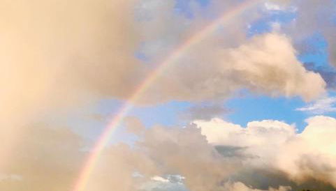 Woodpecker Lodge - Brook Meadow - sleeps 4 plus 2 - no pets - Foto 2