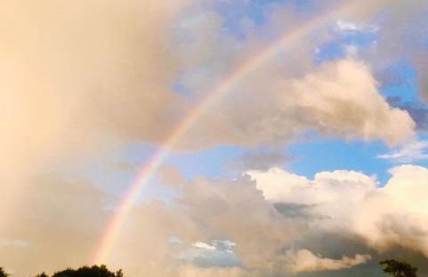 Woodpecker Lodge - Brook Meadow - sleeps 4 plus 2 - no pets - Foto 2