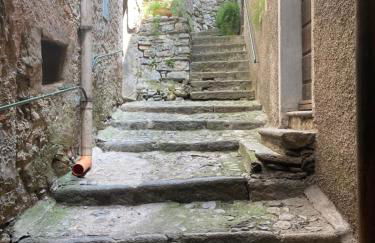 Villa Verde - Foto 12