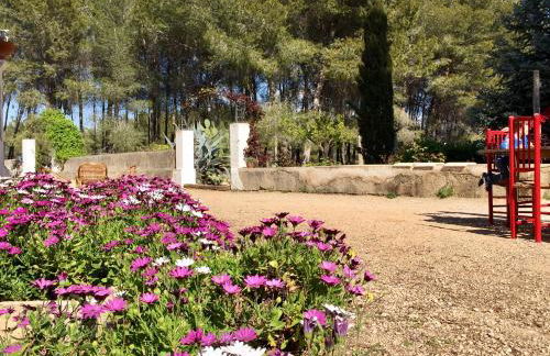 Casa del Riu - Foto 15