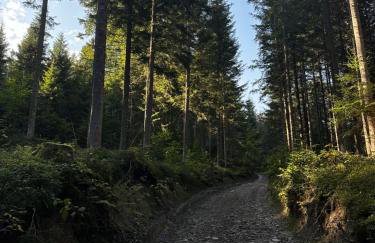 Rajskie wzgórze słoikowo - Foto 63