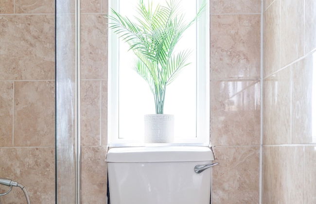 The Angel Collection - Photo 23