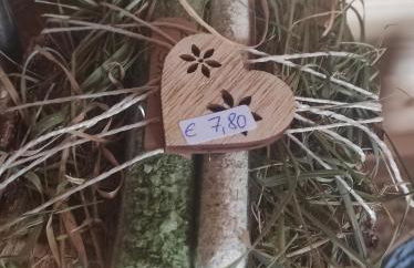 Ferienwohnung am Hof - Foto 24