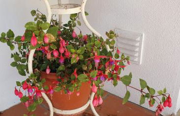 Casa dos Imos - Foto 52