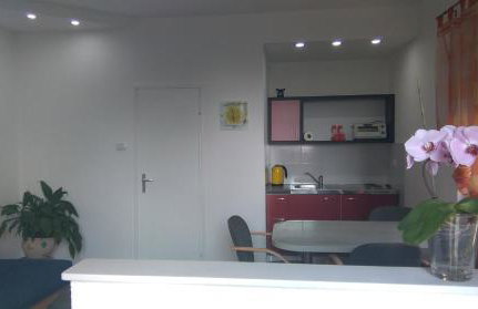 Apartment Cvjetna - Foto 40