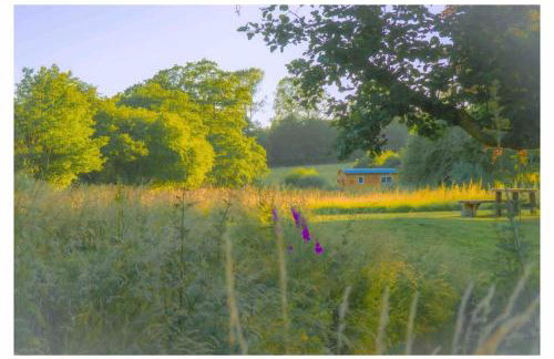 Mountbatten Shepherds hut & Buckhurst Shepherds hut - Photo 75