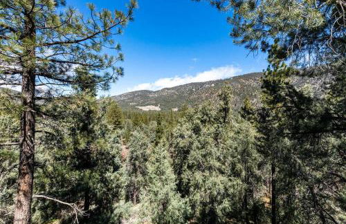 ADELAIDE HILL IN PINE MOUNTAIN CLUB BREATHTAKING VIEWS 3Bd 3Bth SPA TUB - Foto 39