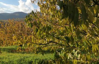 Complejo Rural Las Palomas - Foto 75