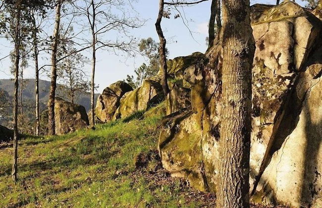 Quinta do Pomar Maior - Foto 33