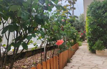 Le Petit Paradis - Foto 20