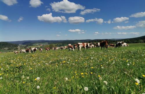 Appartement T3 60m2 calme - Foto 24