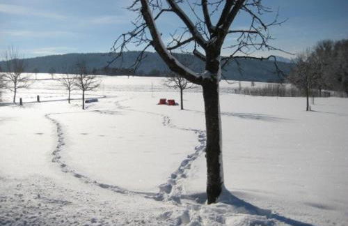 Haus an der Therme - Foto 10