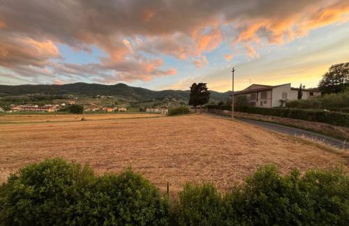 Lucciano Suite - Foto 6