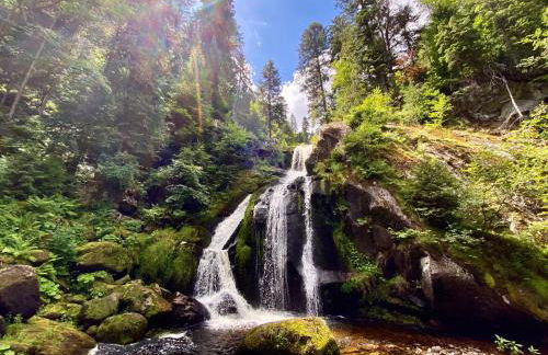 Ferienwohnung zur Bierliebe - Mit toller Aussicht im Herzen des Schwarzwaldes - Foto 55