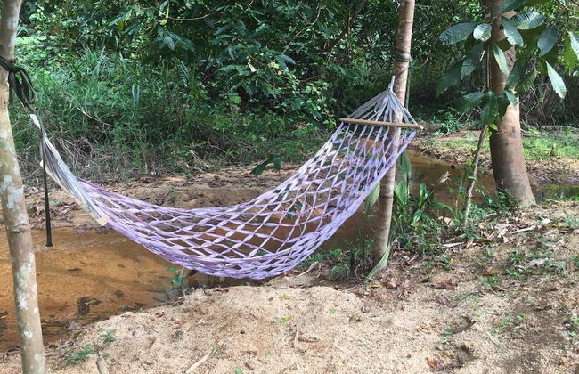 Baansuan Suksangob Farm Stay - Photo 54