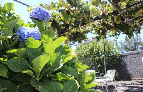 Casa da Ponta - Foto 9