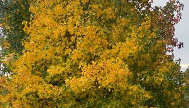 La Casa De Marta - Foto 4