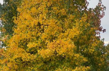 La Casa De Marta - Foto 4