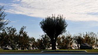 Palazzo Rosso - Foto 3