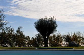 Palazzo Rosso - Foto 3