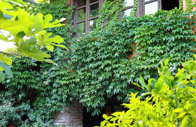 La casa Arancione - Foto 77