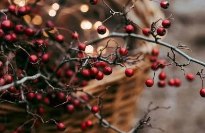 Żurawia Ostoja Dom z Jacuzzi i Sauną - Foto 28