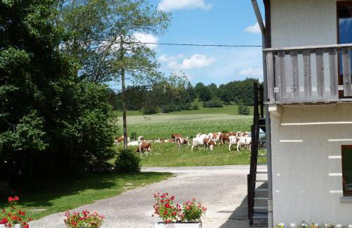 LA GRANGE DE HAUTE-JOUX - Foto 37