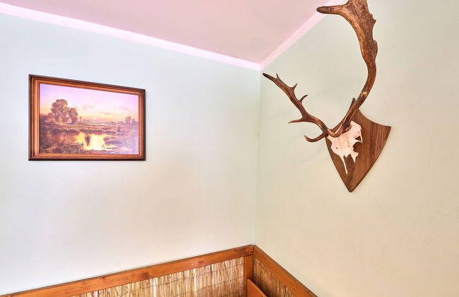 1 bedroom Apartment in Stárkov with swimming pool and garden - Photo 17