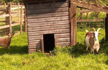 The old hayloft on 22 acre country smallholding - Foto 37