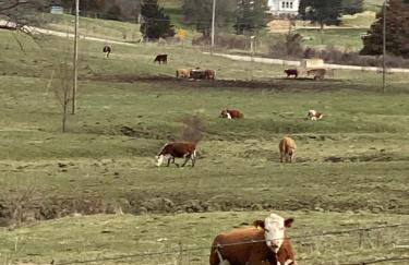 The Farmhouse ranch with lower level suite - Foto 11