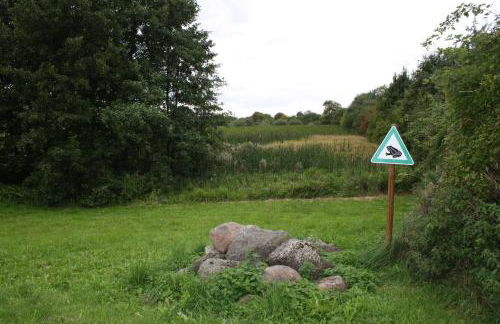 Landpension Zum Schweizerberg - Foto 18