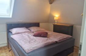 Königsnase - Foto 13