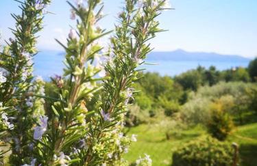 Apartman MARIJETA - Foto 48