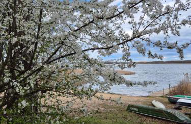 Leśne Studio - Foto 6
