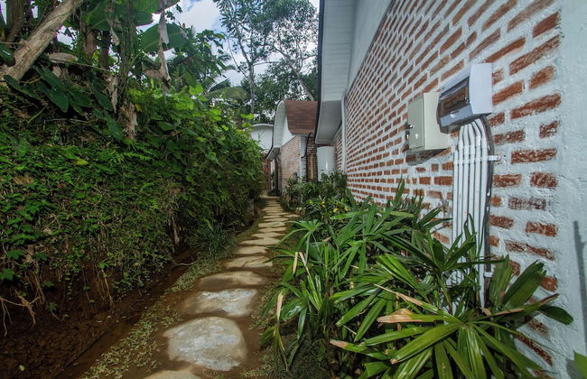 Sacred Canyon Ubud by GenuineHost - Foto 43