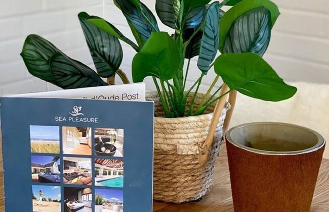 Luxury Villa in Sint-Idesbald with Hot Tub - Photo 68